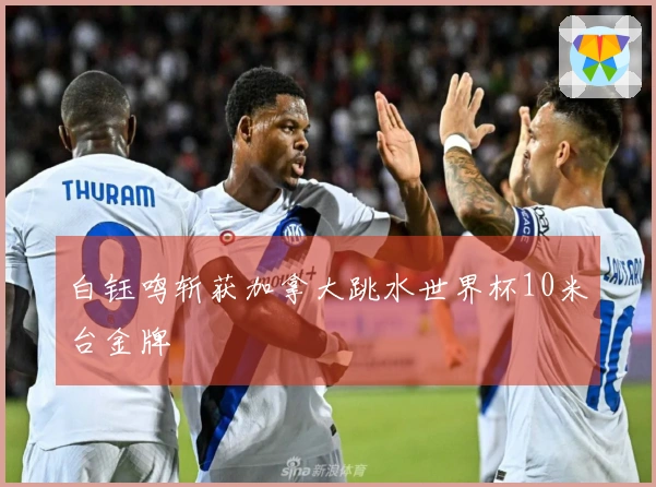 白钰鸣斩获加拿大跳水世界杯10米台金牌