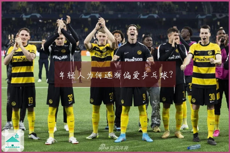 年轻人为何逐渐偏爱乒乓球？