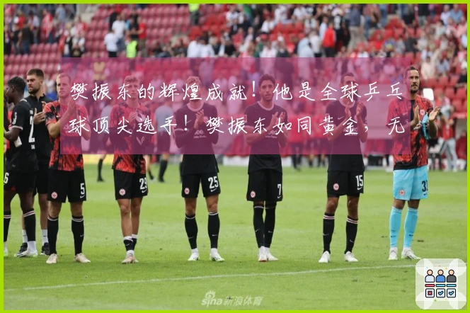 樊振东的辉煌成就！他是全球乒乓球顶尖选手！樊振东如同黄金，无论何处都能熠熠生辉！