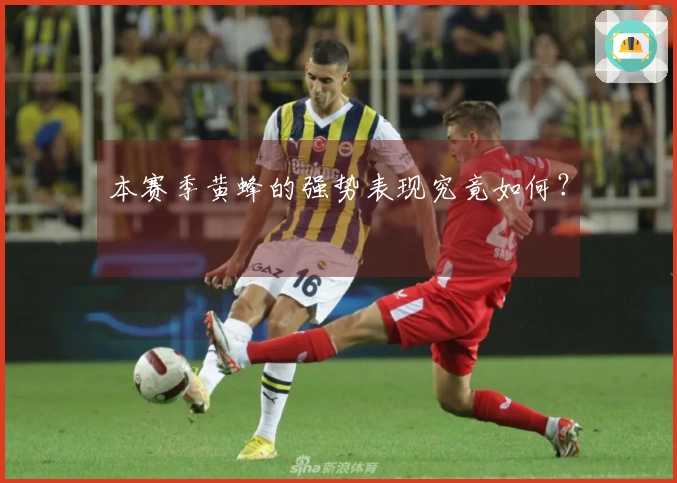 本赛季黄蜂的强势表现究竟如何？