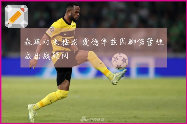 森狼对决猛龙 爱德华兹因脚伤管理成出战疑问