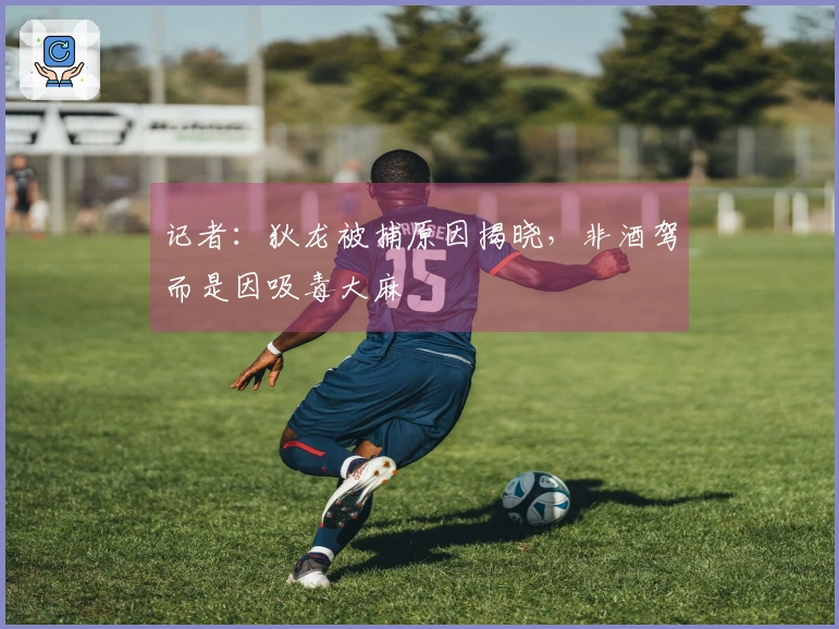 记者：狄龙被捕原因揭晓，非酒驾而是因吸毒大麻