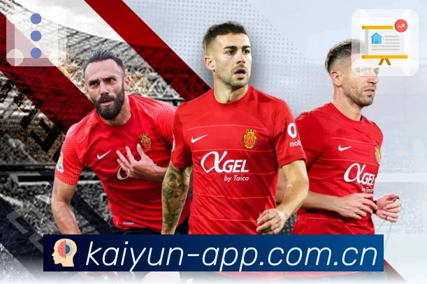 <strong>开云</strong>稳定性与高峰保障体系